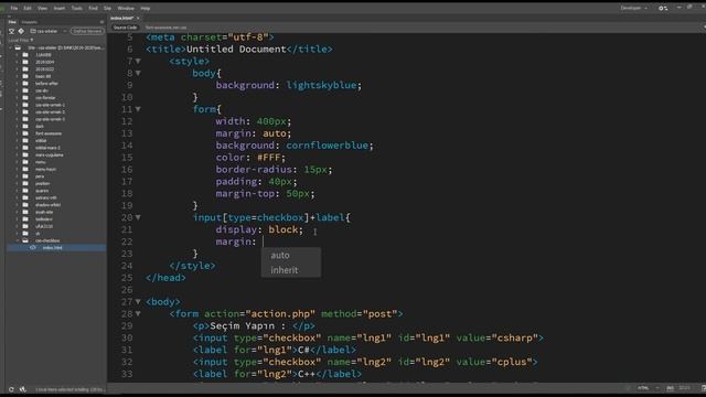 CSS Form Checkbox Style