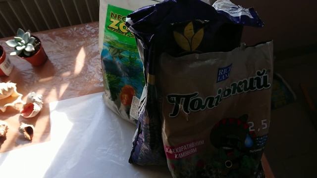 Готовим первый садик из сукулентов)) смотреть онлайн