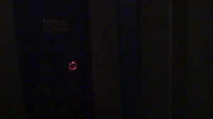 Грузовой лифт (Село Марфино), V=1 м-с, г-п 630 кг (3)