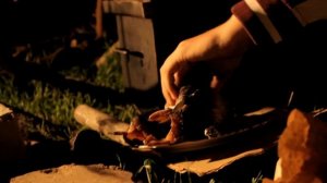 -ПЕРЕКУС- СКУМБРИЯ ГОРЯЧЕГО КОПЧЕНИЯ / РЕЦЕПТ МАРИНАДА