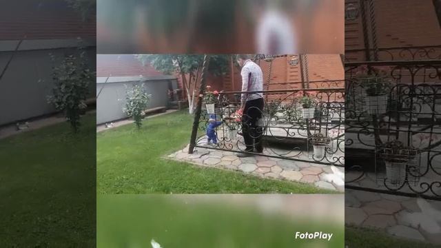 В деревне у бабушки и дедушки смотреть онлайн