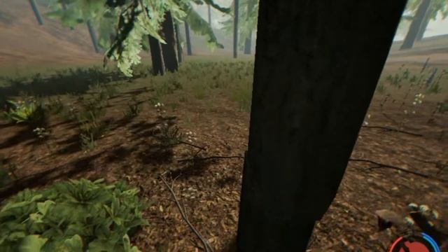 Запуск новой 70v The Forest (обзор) на слабом ПК смотреть онлайн