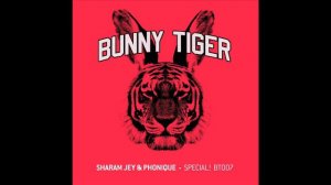 Sharam Jey & Phonique - Special! (Extended Version) - BT007 BUNNY TIGER https://www.youtube.com