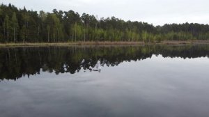 оз. Безменковский карьер (оз.Козлово). Балашиха.