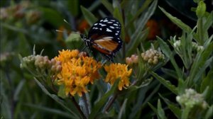 ПОЧУВСТВОВАТЬ БОГА... Христианские стихи со смыслом