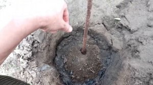 КАК ПРАВИЛЬНО ПОСАДИТЬ ПЕРСИК.Vselennaya uvlecheniy