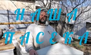 Что делать когда не берут корм из пакетов.mp4