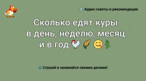 Сколько едят куры в день, неделю, месяц и в год