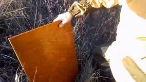 осыпь и пробивная сила картечи 5,6 мм из ружья МР 43 12 калибра.