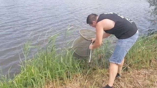 Природа и Рыбалка в Адыгее.Часть2. Пруд "Степной". смотреть онлайн