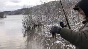 ФИДЕР На ОКЕ ЗИМОЙ/ Рыбалка на ОКЕ в ДЕКАБРЕ по высокой ВОДЕ