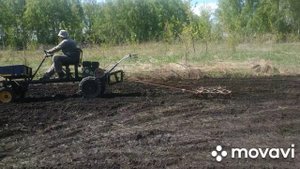 Мотоблок Нева МБ 2. Пашет сам. с бороной (садим фацелию гречу горчицу донник и рапс)