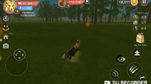 Прокачиваю гепарда в вилд крафт