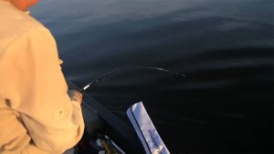 Обзор спиннинга FAVORITE CREED. Константин Кудинов. Розыгрыш спиннинга среди подписчиков канала!