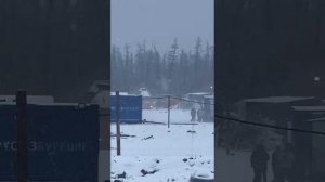 ЧП. Медведь рвёт (задрал) двух вахтовиков. Якутия 2023.