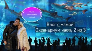 Влог с мамой. Московский океанариум. Часть 2 из 3/ Шоу в океанариуме