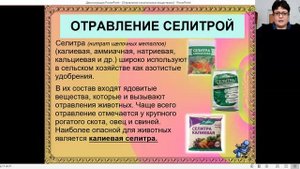 Петрова Ю.Н. / РО 03-03 / Тема: Отравления животных химическими веществами