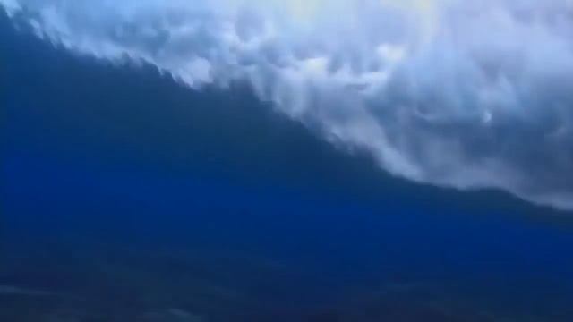 Живой Мир.Косатка смотреть онлайн