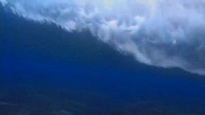 Живой Мир.Косатка