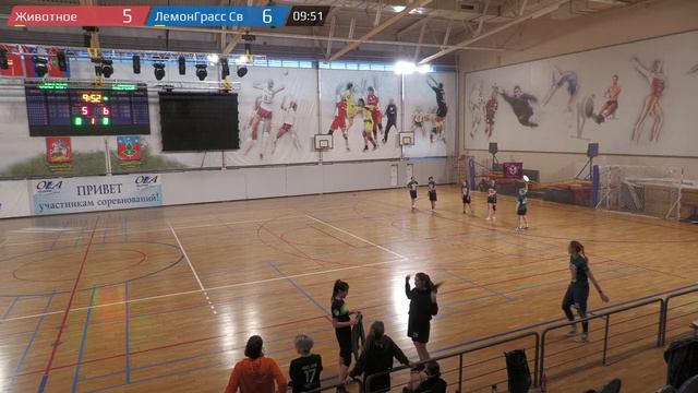 Запуск-2022. ЖД. Огромное Животное — ЛемонГрасс Свэг смотреть онлайн