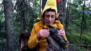 Троль заблудился. Карелия. Июль 20. Семейный лагерь Большая черепаха