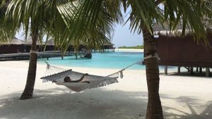 Танцующий миллионер на Мальдивах! :)