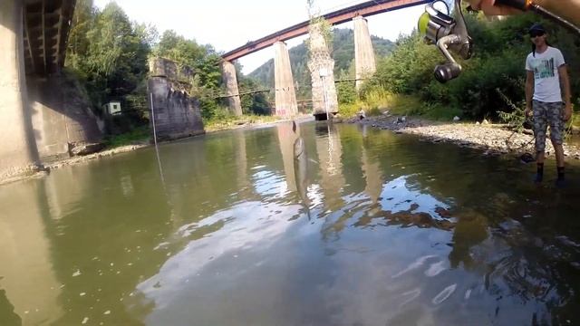 Рыбалка со Спиннингом на Горной Реке #1 Яремче. Ловля Голавля. смотреть онлайн