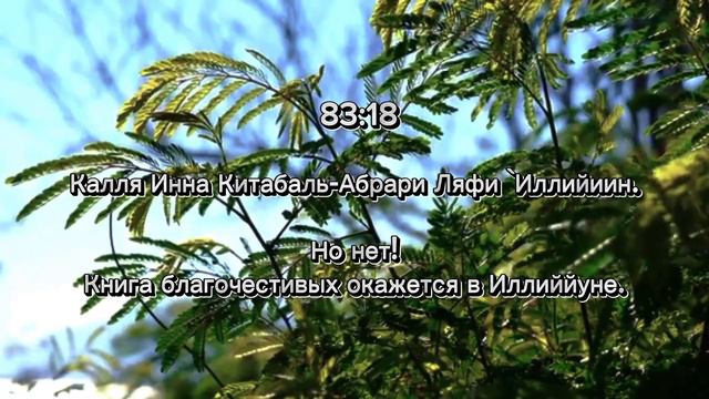 СУРА 83: АЛЬ-МУТАФФИФИН - ОБВЕШИВАЮЩИЕ | Sura 83: Weighing down (Al-Mutaffifeen) | quran recitation