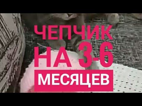 Чепчик на 3-6 мес (второе видео) #shorts