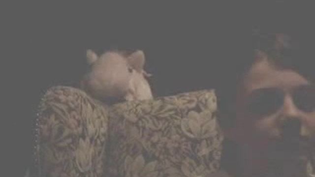 Dragonology смотреть онлайн