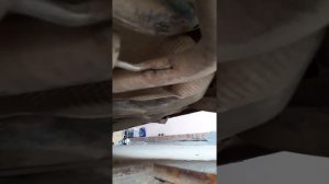Фольксваген тигуан стук.