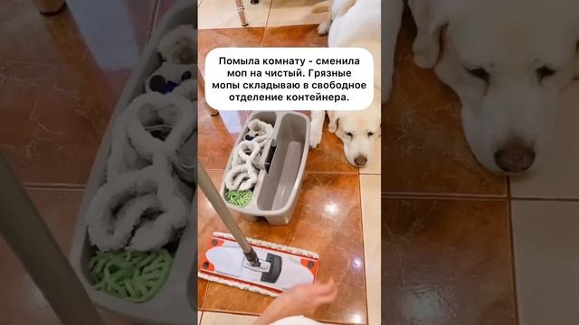 МЫТЬЕ ПОЛА БЕЗ ВЕДЕР С ВОДОЙ. [#ОБЗОР]