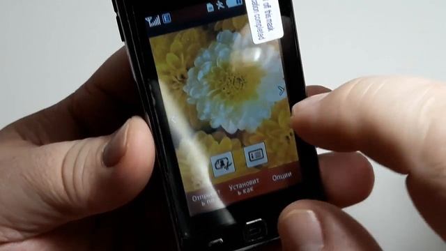 Samsung GT-S5230 La'Fleur Star black смотреть онлайн