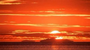 AFRICA - ALBATROS  ( L'été Indien )