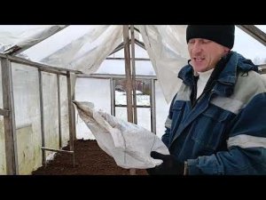 Подготовка земли для гигантской тыквы на следующий 2024 г.: внесение части одних из видов удобрений.