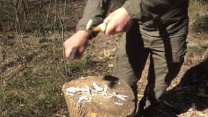 Строгание ножом FX-604 CORE Fox Knives