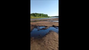 Лесная пожарная техника
