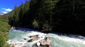 Звук реки и леса | Шум горной реки и пение птиц для снятия стресса и крепкого сна.