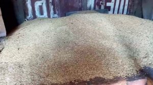 Купил ячмень