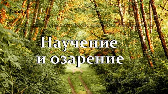 "Научение и озарение" Уитнесс Ли глава 4 смотреть онлайн