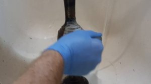 Ваза из латуни, после пожара, чистка.