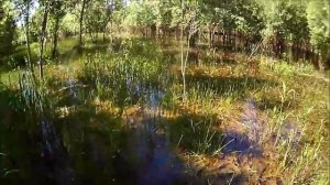 с. Средний Васюган    25.06.2019.  Боковой кивок...