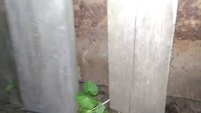 Кто издает звук? смотреть онлайн