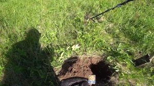 РЕКА ВЫСОХЛА! И Я ПРИШЁЛ ИСКАТЬ ЗОЛОТО! Коп с металлоискателем Gold Hunter Frogman B75