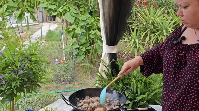 Готовлю на природе. Мясо с помидорами.Радую всю семью