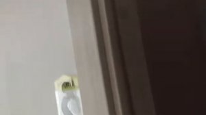 Двери elPorta - Твигги V4 ПО складные