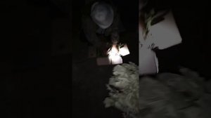 Веники в баню,хранение,заготовка и отправка посылки