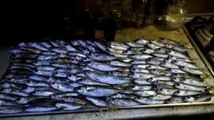 Рыбалка в  Новороссийске 2022 в январе едем из Анапы туда где зимует рыба в  чёрном море