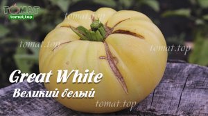 Томат Great White или Великий белый. Заменит ананас и дыню на вашем столе! Обзор сорта.Отзыв о сорте