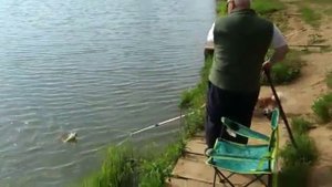 Сенеж. Ловля карпа.